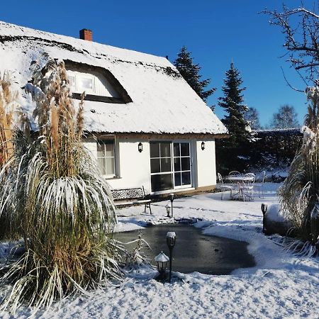 Reetferienhaus - Schaprode Hafen Екстериор снимка